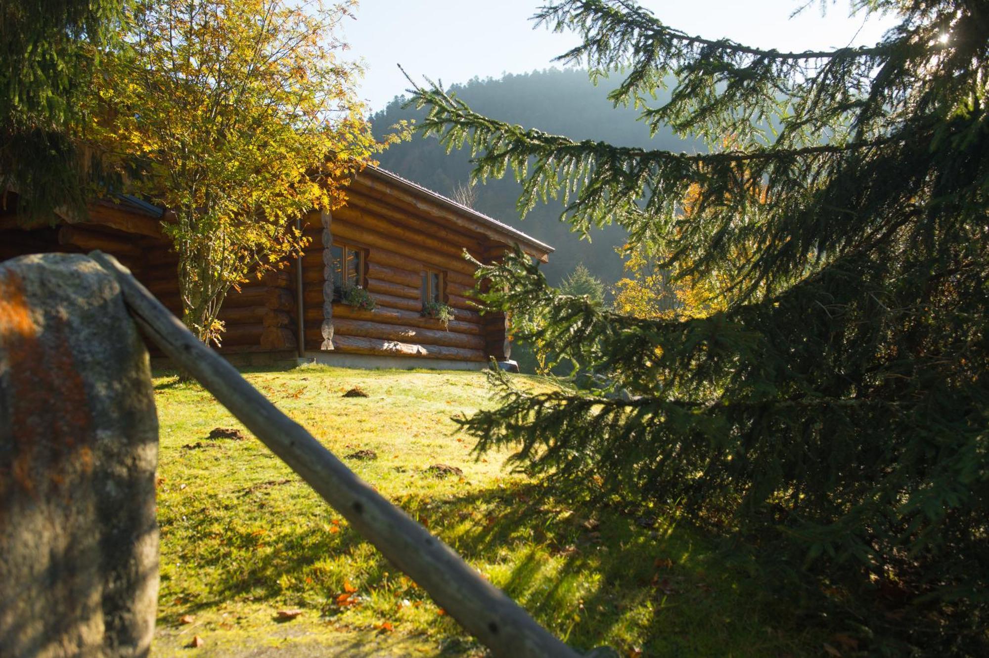 Le Couaroge Chalets Et Appartements Ла-Бресс Экстерьер фото