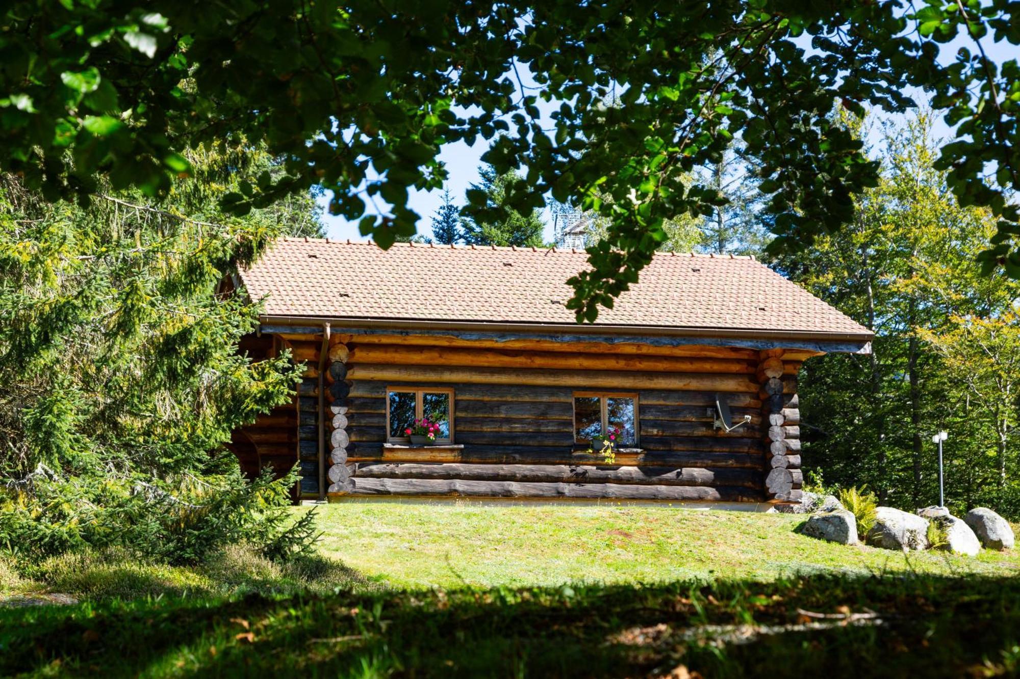 Le Couaroge Chalets Et Appartements Ла-Бресс Экстерьер фото